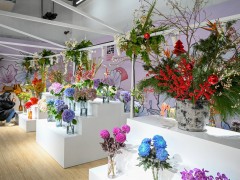三个月接待820万游客，上海世博文化公园将办“新年花市”