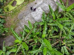 海南五指山：热带雨林引游人