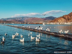 云南西双版纳报团6日游最佳线路，看完不会被坑。