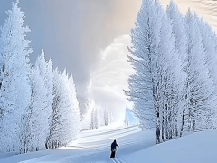 冬日新疆，雾凇雪景绝佳旅游地大赏