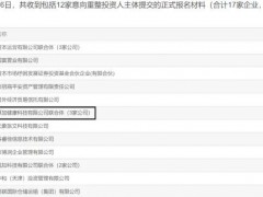 重磅独家|金科股份破产重整投资人确立！